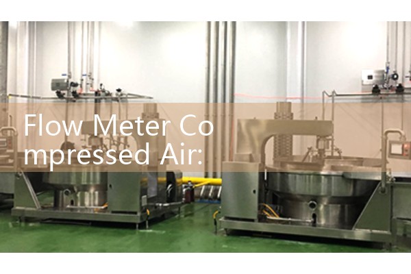 Flow Meter Compressed Air: Real-Time CFM Efficiency Trackers
